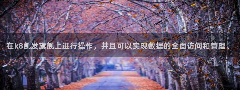 壹号app官网：在k8凯发旗舰上进行操作，并且可以实现数据的全面访问和管理。