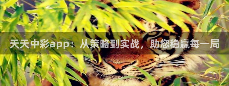 富联康：天天中彩app：从策略到实战，助您稳赢每一局